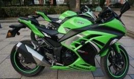 小忍者最新爆料价格,价格大揭秘，性价比之选引期待